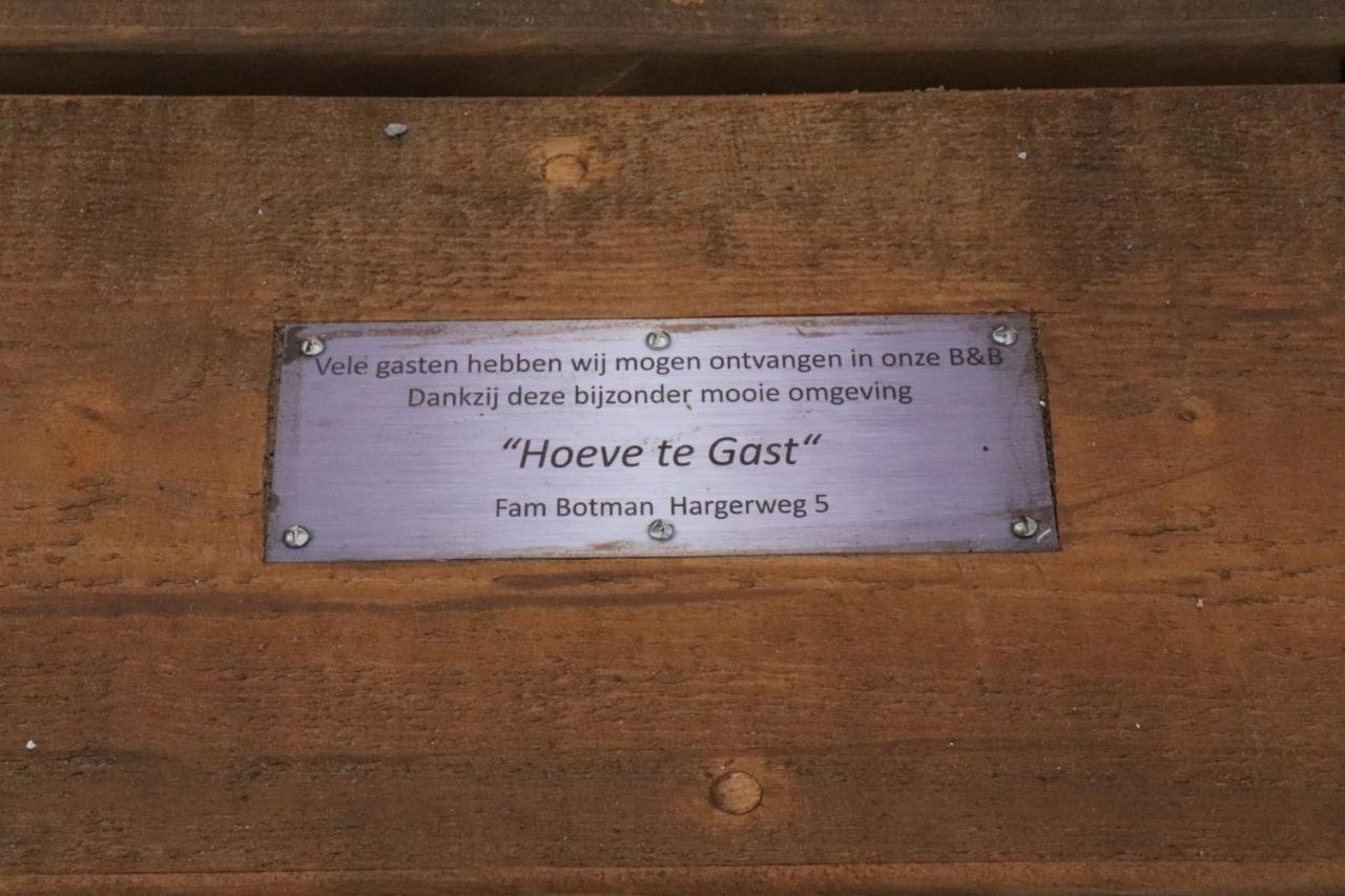 Hoeve Te Gast - Vakantieboerderij ครูท ภายนอก รูปภาพ